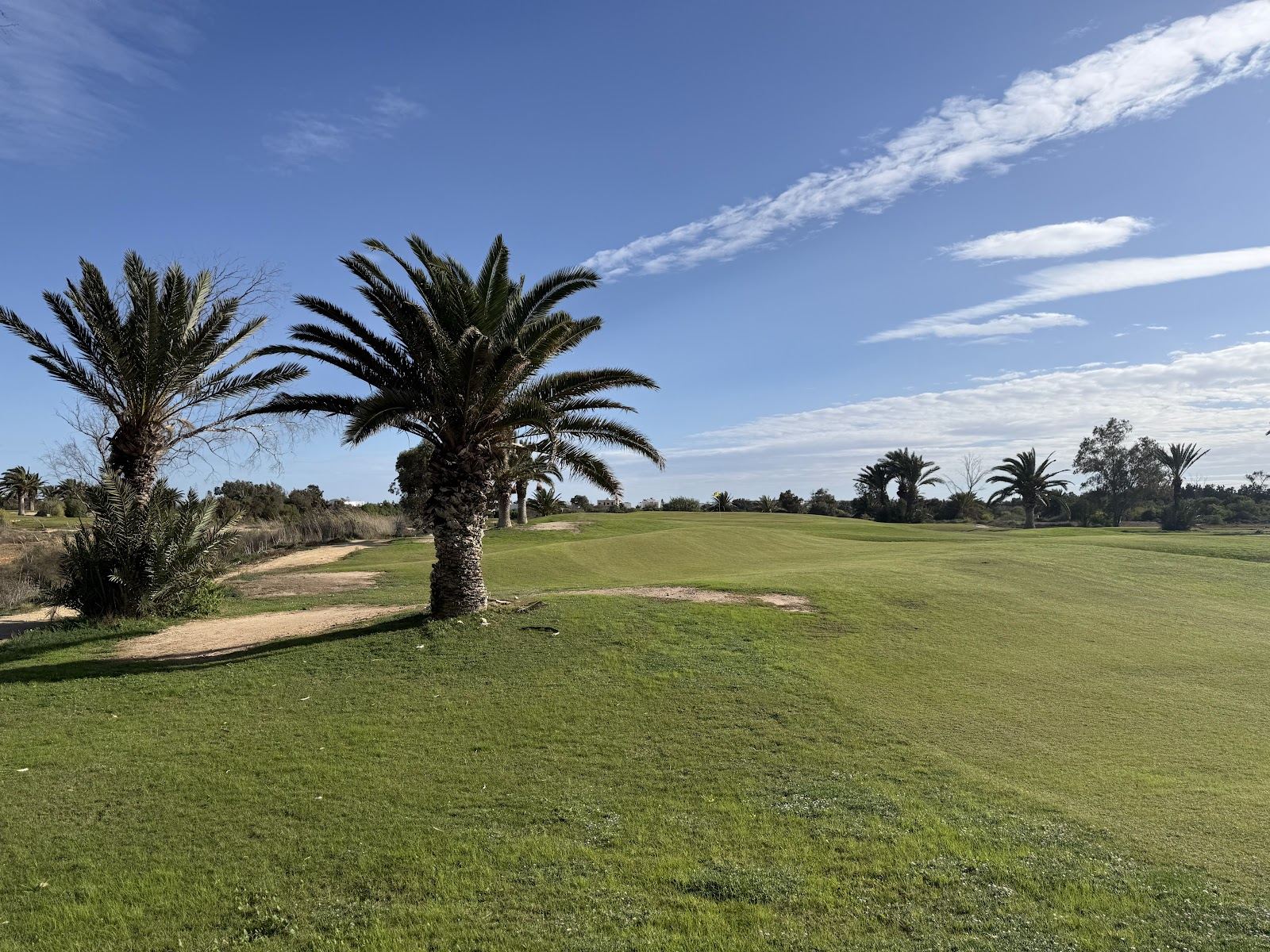 Courses in Tunisia, Golf Palm Links Course golf course