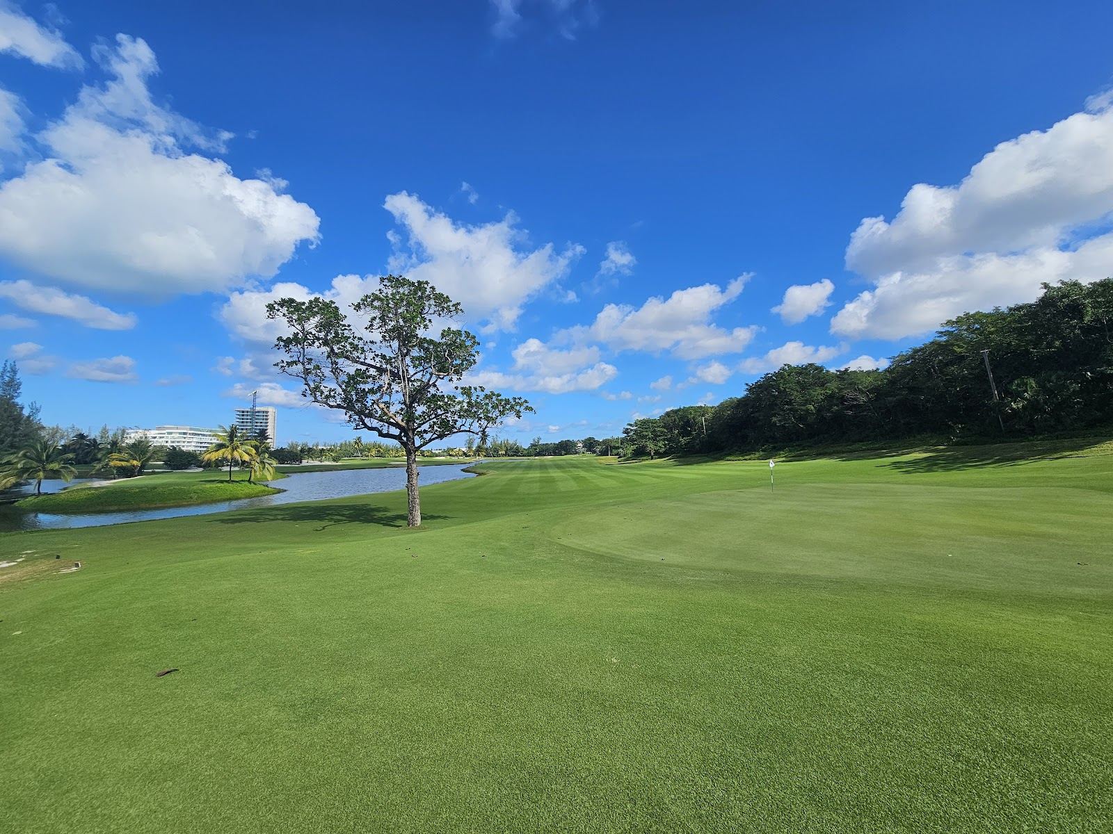 Royal Blue Golf Club at Baha Mar, Nassau, fairway and green running beside the lake