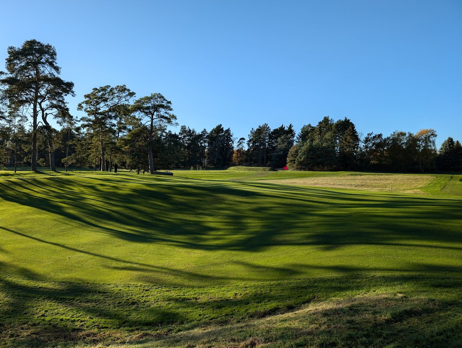 A compact heathland nine-hole golf course at golden hour