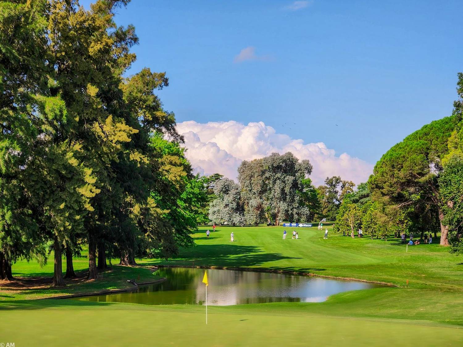 Olivos Golf Club, tree lined parkland fairway near Buenos Aires, Argentina