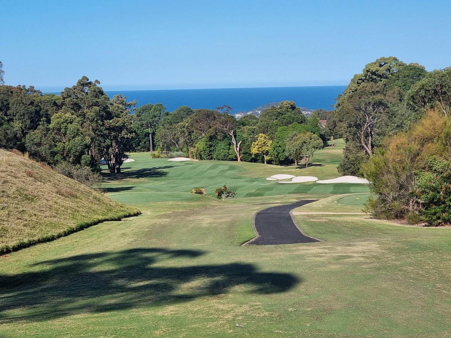 Elanora Country Club, Elanora Heights, a bunkered fairway among the gums on Sydney's Northern Beaches