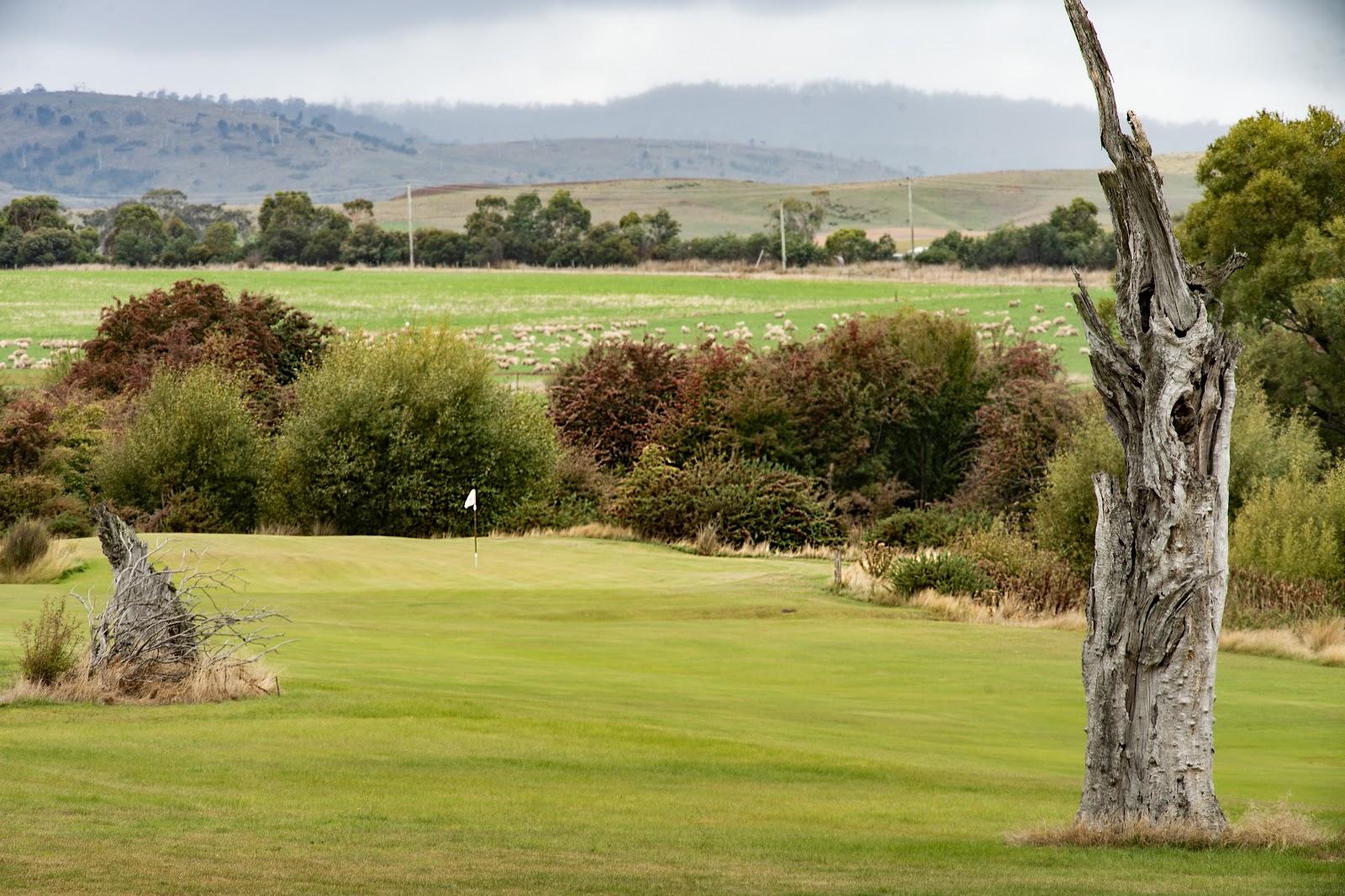 Ratho Farm Golf Links, inland links fairways with grazing sheep in the central highlands at Bothwell, Tasmania, Australia