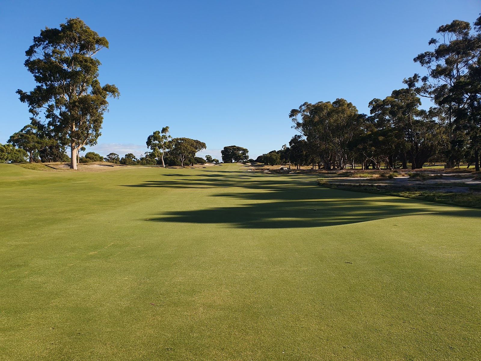 Victoria Golf Club fairway and sandbelt bunkering at Cheltenham, Melbourne, Australia