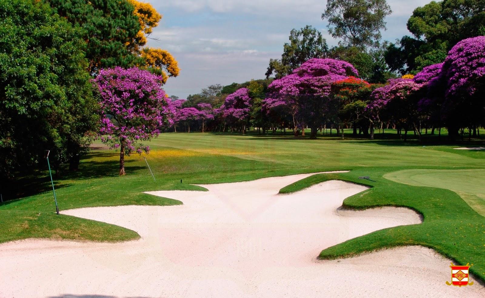 Sao Paulo Golf Club at Santo Amaro, mature parkland fairways and trees in the heart of Sao Paulo, Brazil