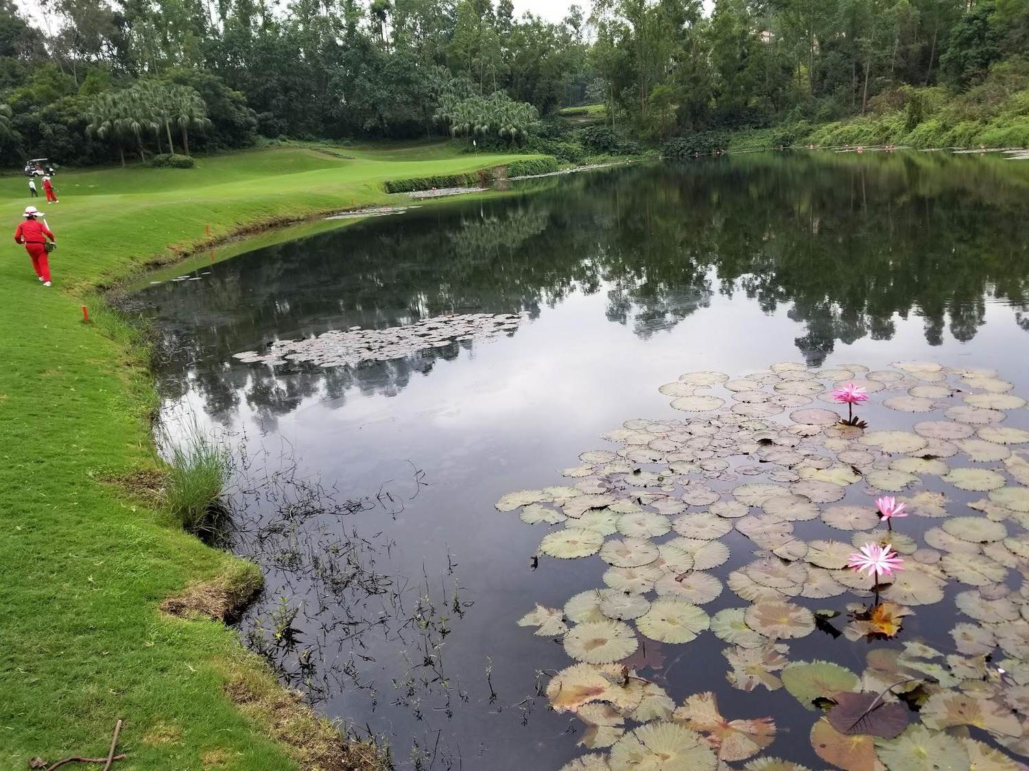 Mission Hills Olazabal Course, bunkered championship fairway through jungle near Shenzhen, China