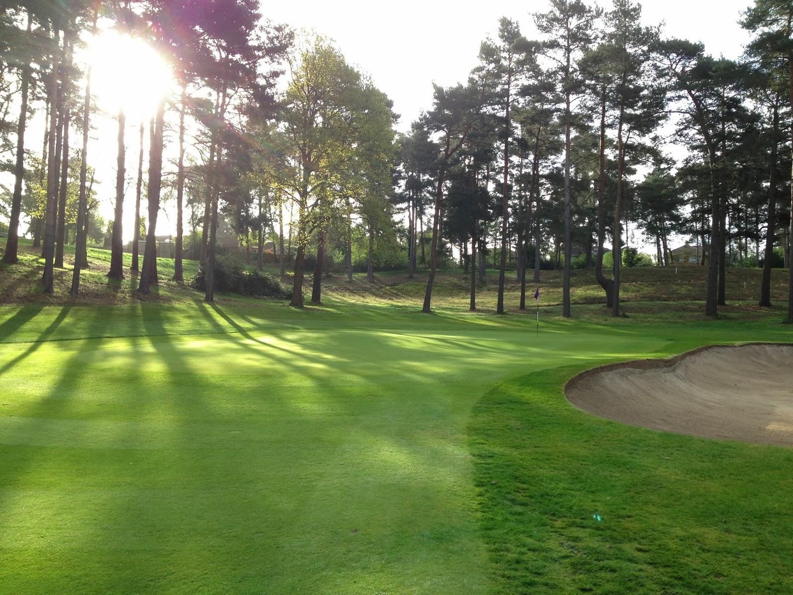 Camberley Heath Golf Club, heathland fairway framed by heather and pine in Camberley, Surrey, England