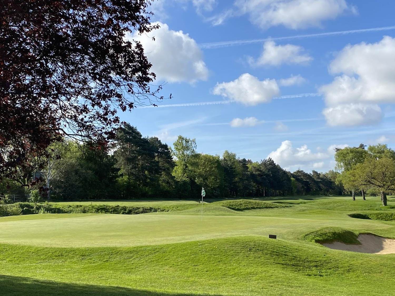 Frilford Heath Golf Club Red Course, heathland fairway and pushed up green in Oxfordshire, England