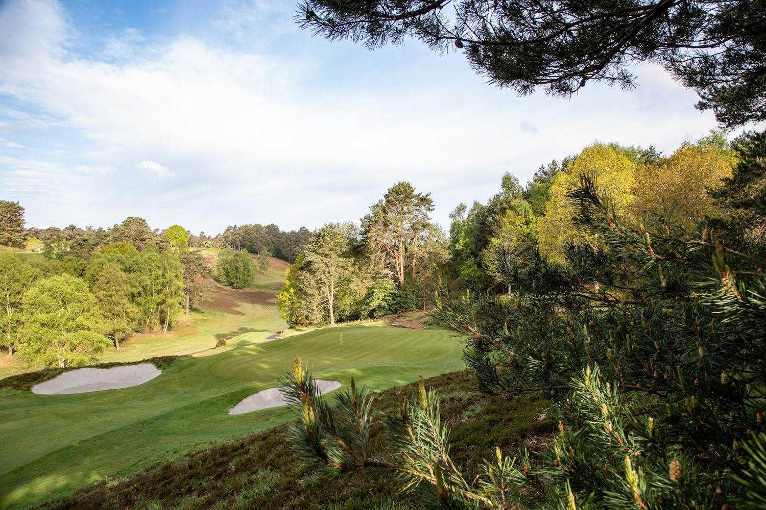 Hindhead Golf Club, heather and pine framing a heathland valley fairway in Surrey, England