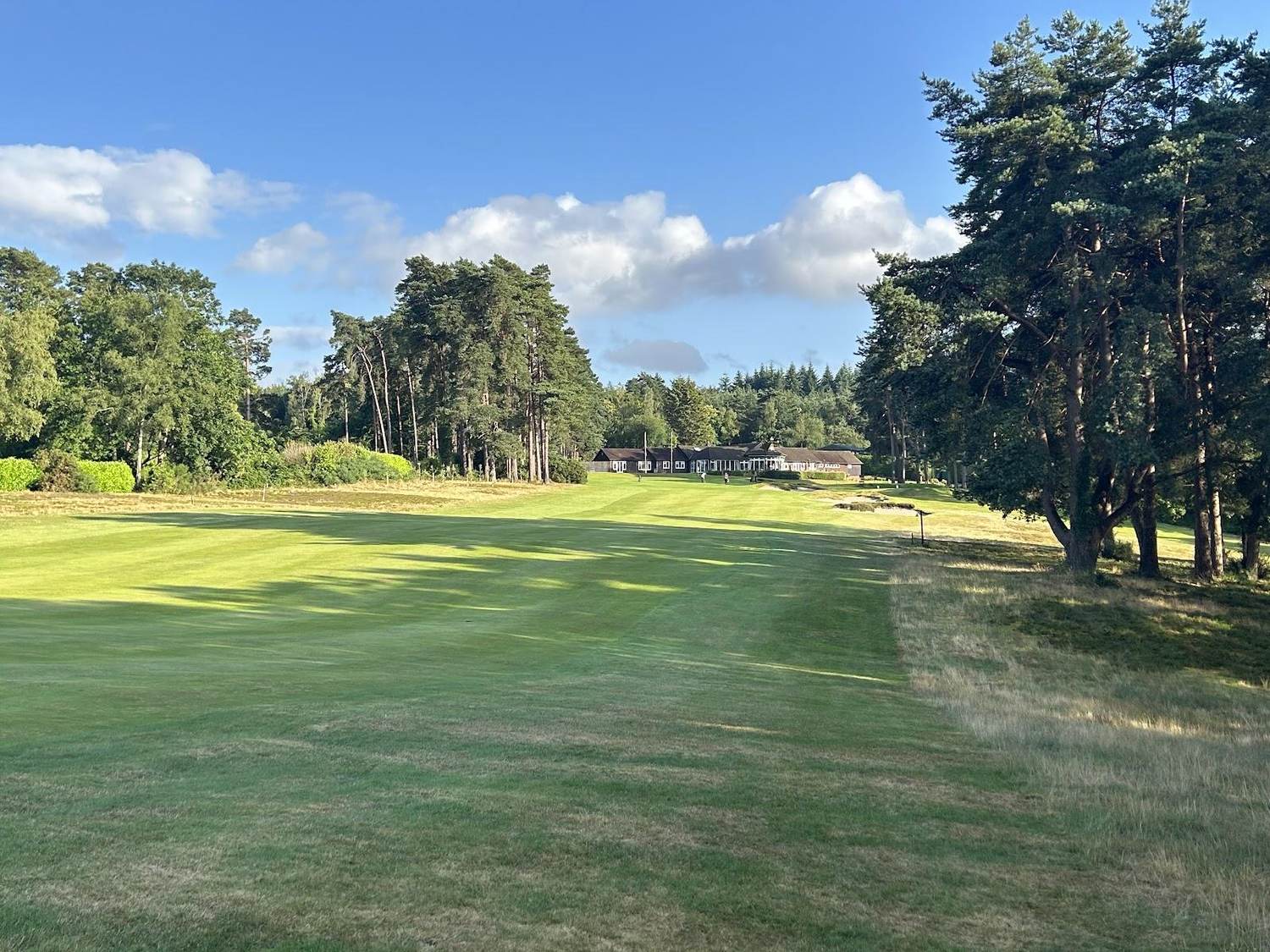 Liphook Golf Club, heather lined heathland fairway on the Hampshire and Sussex border, England