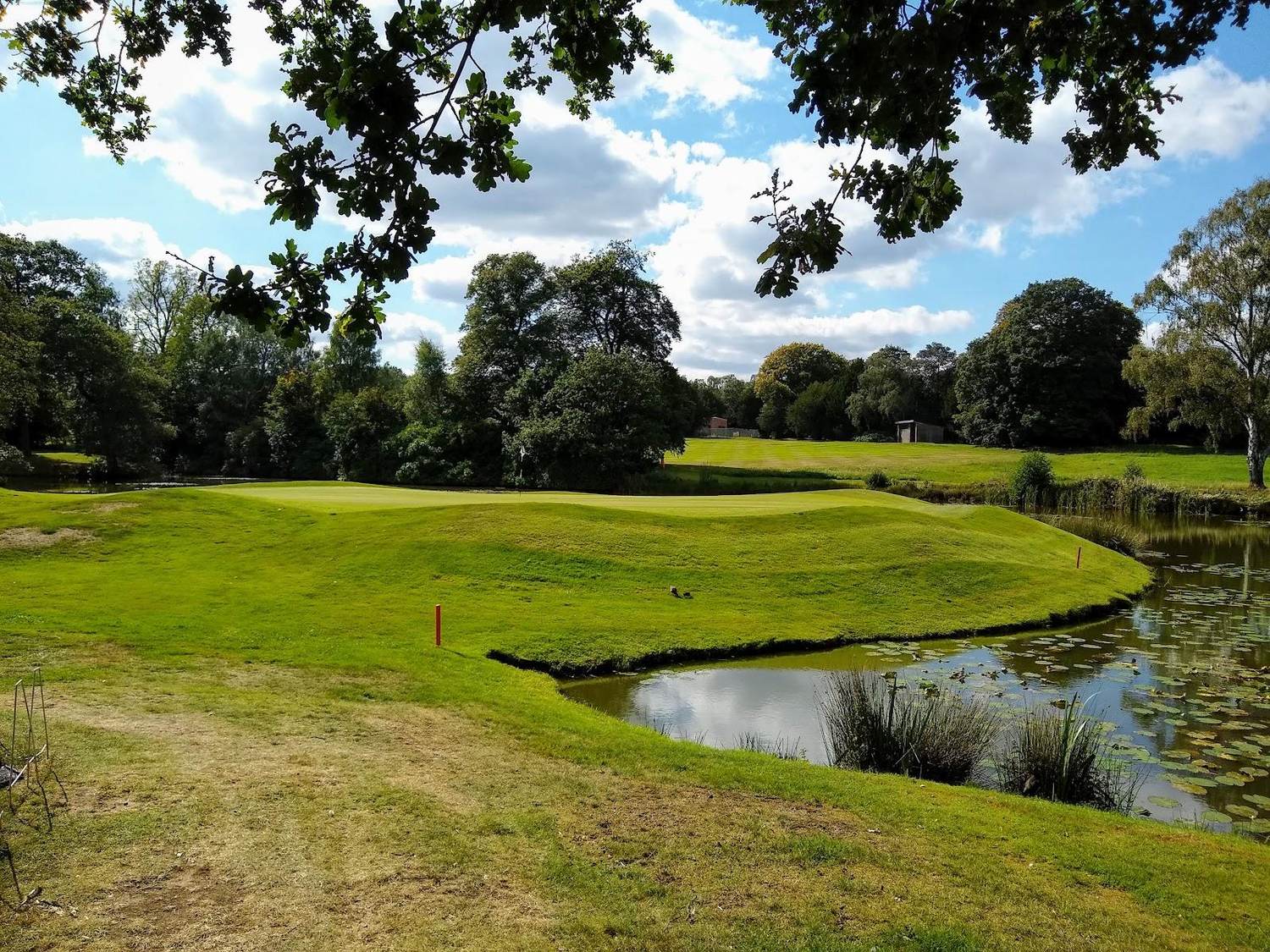 Little Aston Golf Club, mature parkland fairway lined with old estate trees near Sutton Coldfield in the West Midlands, England