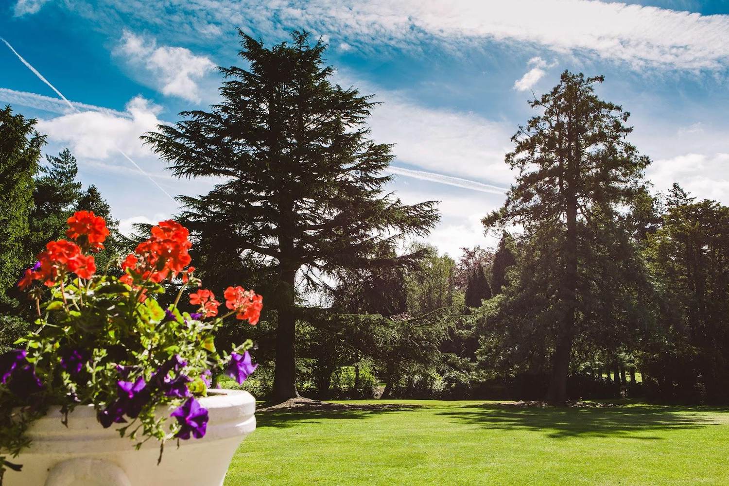 Mottram Hall, parkland fairway framed by mature oak and beech in the Cheshire countryside, England