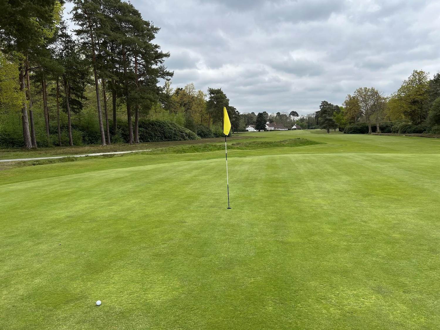 New Zealand Golf Club, heather and pine framed heathland fairway near Woking, Surrey, England