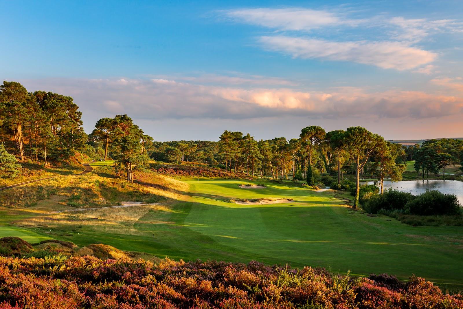 Parkstone Golf Club, heathland fairway lined with pine and heather above Poole Harbour in Dorset, England