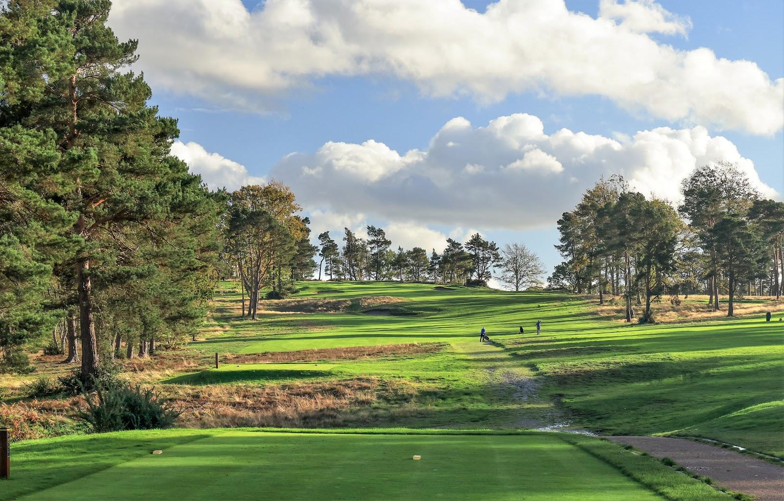 The Addington Old Course, Croydon, ravine crossed heathland golf with heather and pine south of London, England
