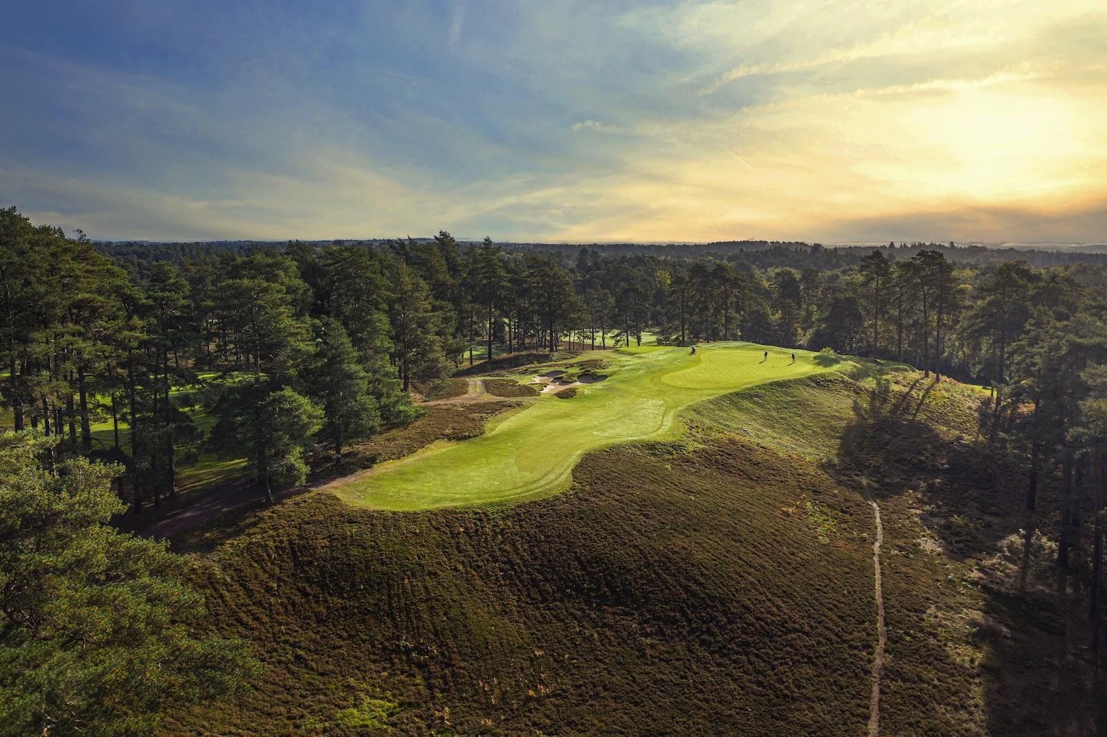 The Berkshire Golf Club, heather and Scots pine framing a fairway on the Blue Course at Ascot