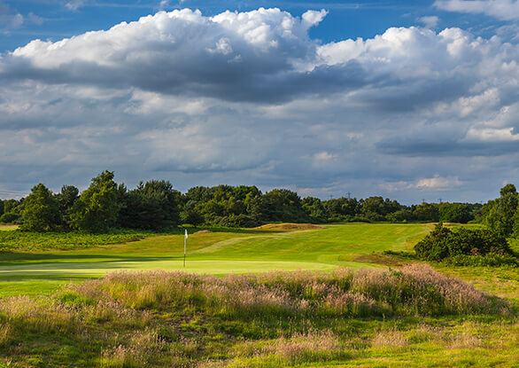 Thorpeness Golf Club, coastal heathland fairway lined with heather and pine near the Suffolk coast