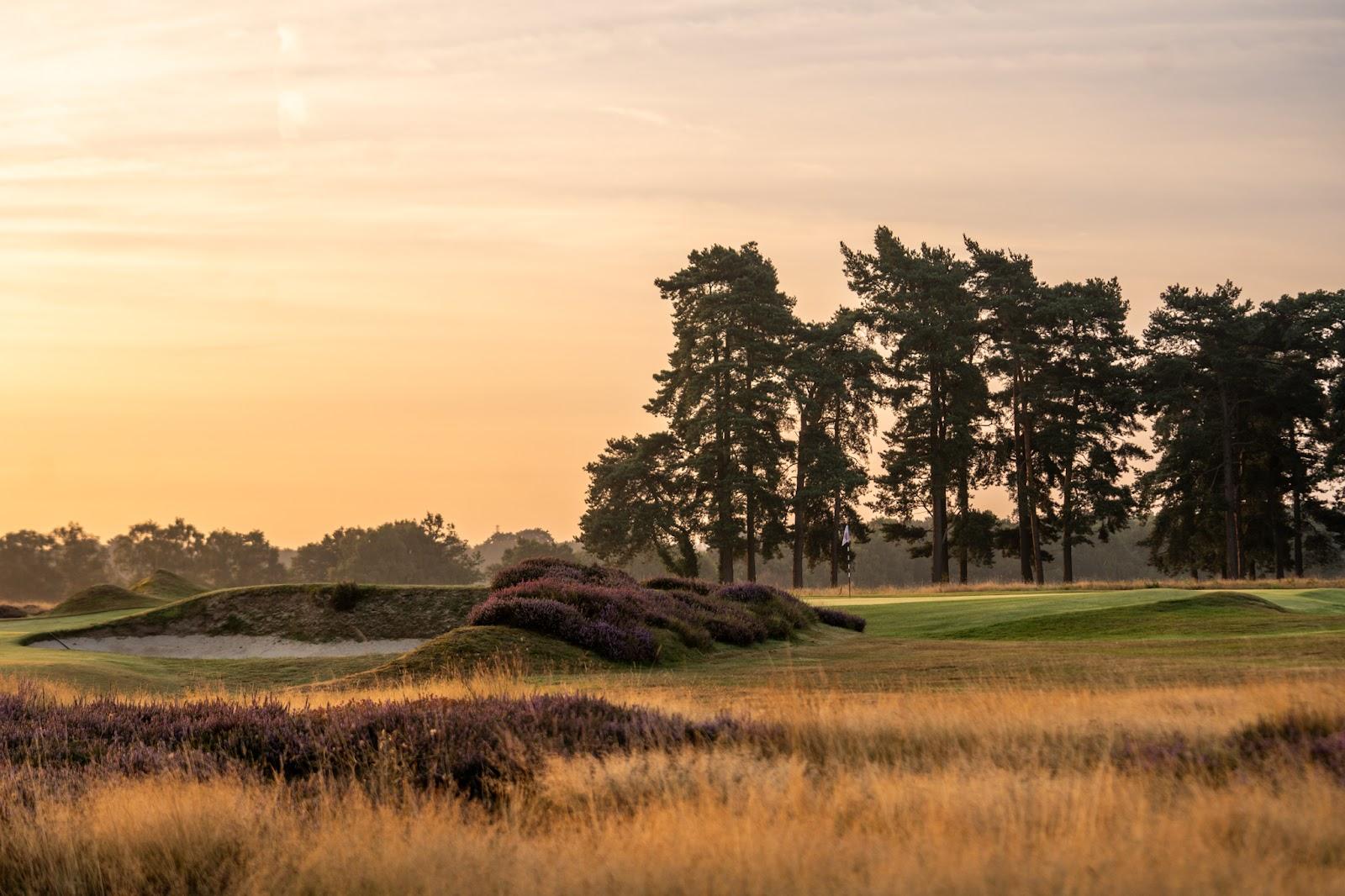 Walton Heath New Course, heather lined heathland fairways in Surrey, England
