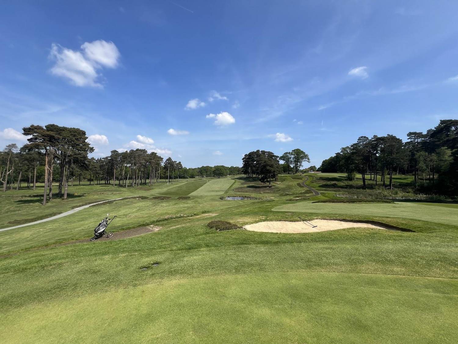 Woking Golf Club, heather and Scots pine framing a heathland fairway in Surrey, England
