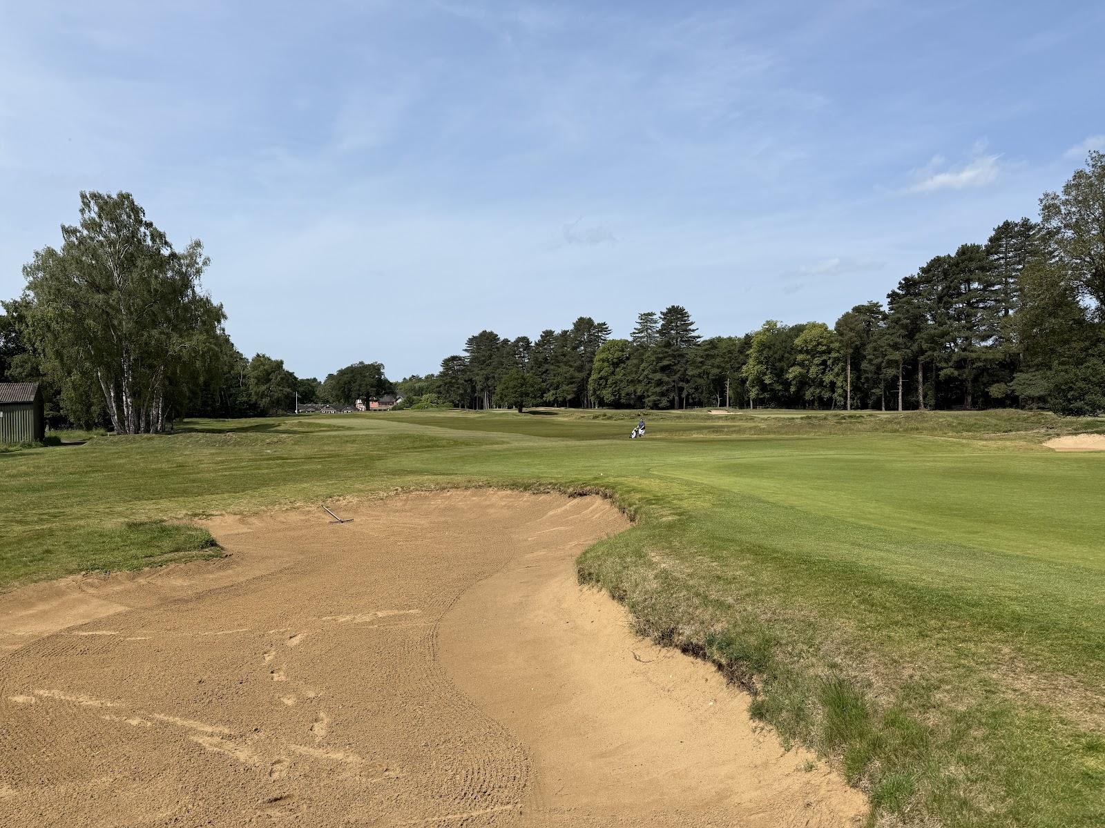 Woodhall Spa Golf Club Bracken Course, heathland fairway among birch and heather in Lincolnshire, England