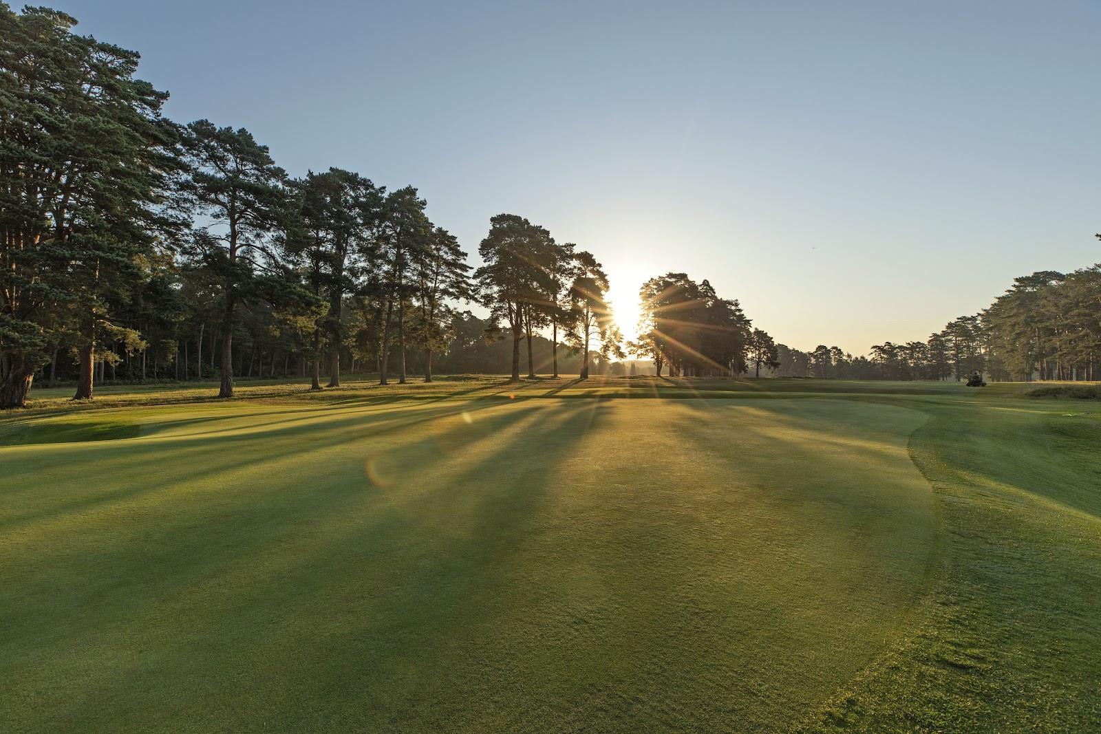 Worplesdon Golf Club, heather and pine framed fairway on the Surrey heathland near Woking, England