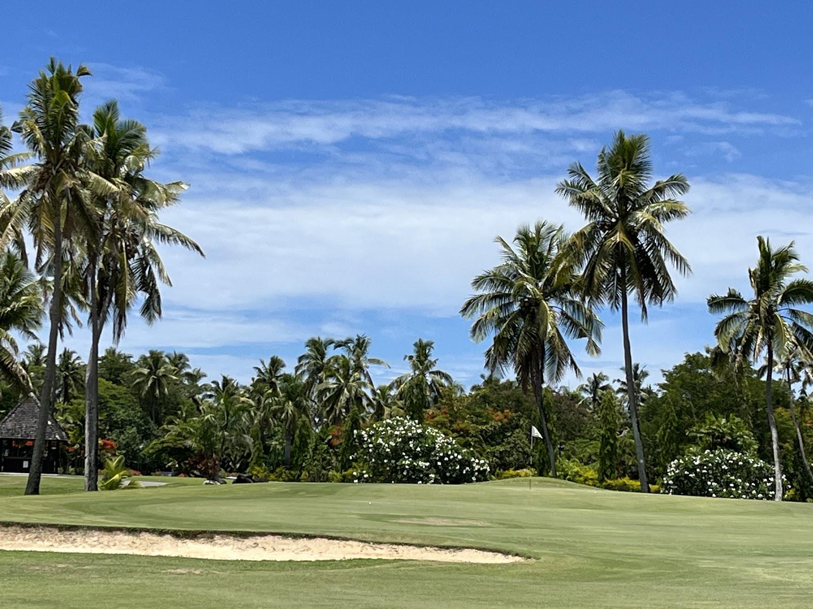 Denarau Golf and Racquet Club, resort fairway lined with palms on Denarau Island near Nadi, Fiji