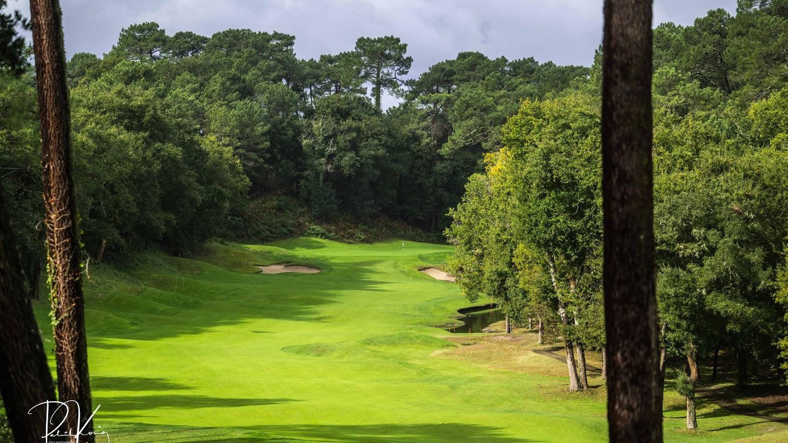 Golf de Seignosse, fairway framed by tall pines on the Landes coast near Hossegor, southwest France