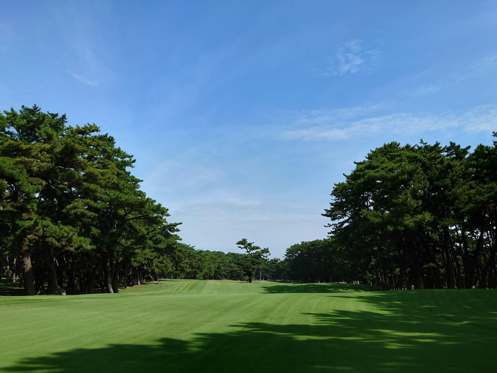 Oarai Golf Club, coastal fairway lined with black pines on the Ibaraki shore, Japan