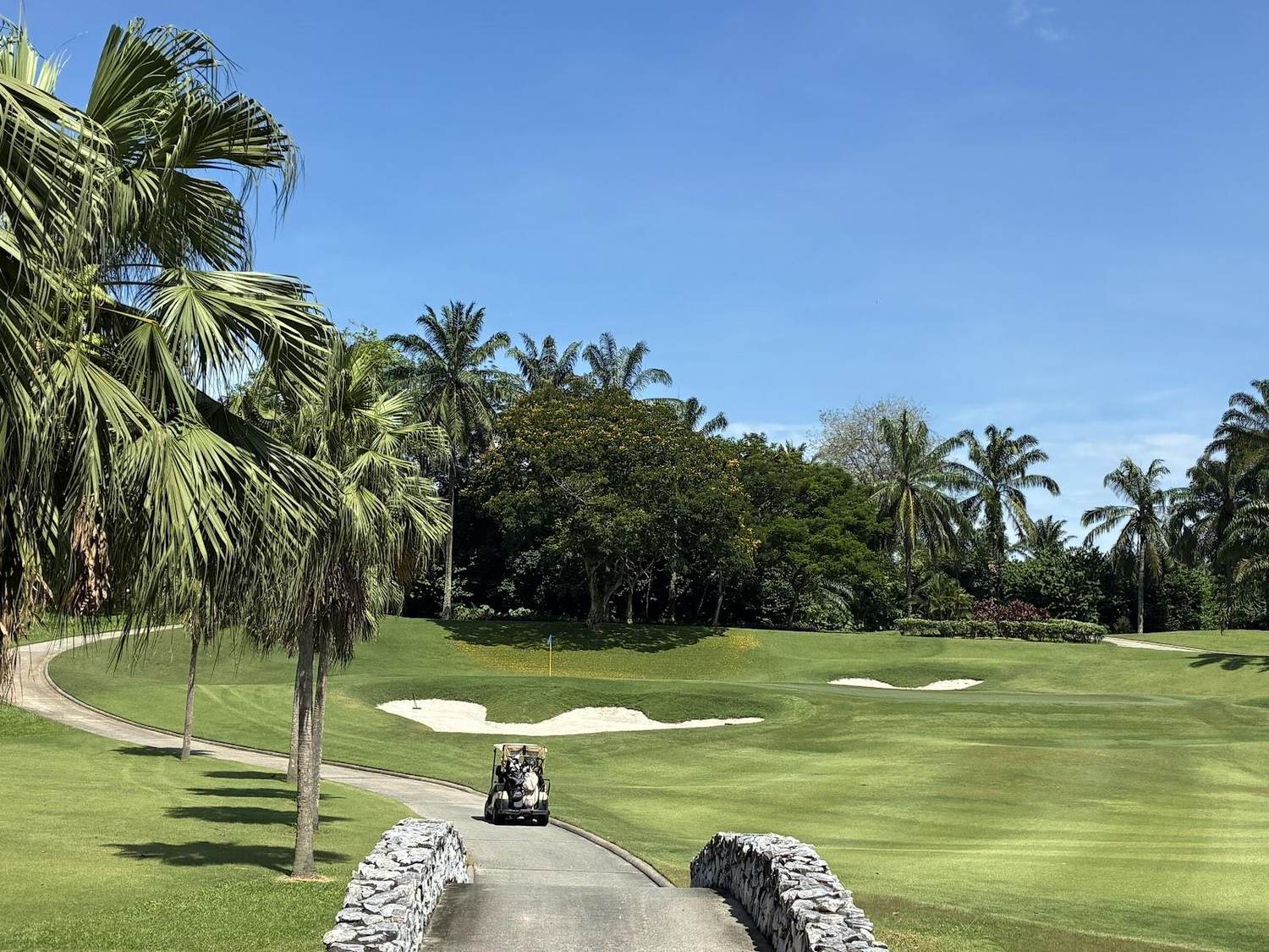 Saujana Golf & Country Club, Palm Course, palm lined fairway near Kuala Lumpur, Malaysia