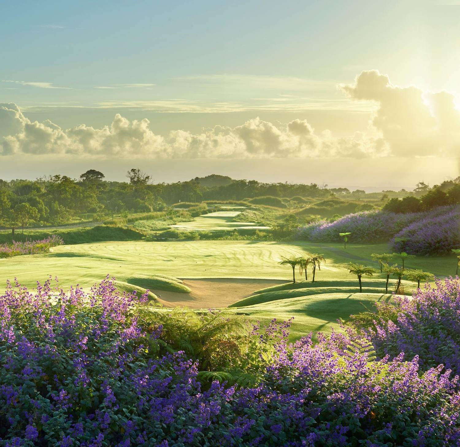 Avalon Golf Estate, open highland fairway with ocean and mountain views above Bois Cheri, southern Mauritius