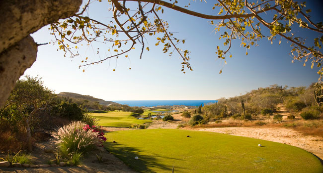 Club Campestre San Jose, Jack Nicklaus fairway above the Sea of Cortez, Los Cabos, Mexico