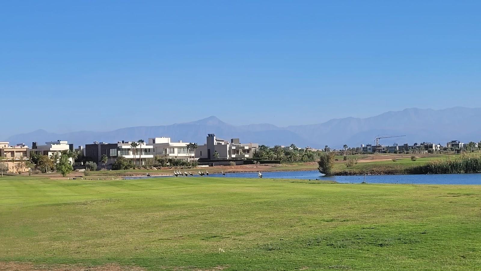 The Tony Jacklin Marrakech, fairway framed by bougainvillea with the Atlas Mountains beyond, Morocco