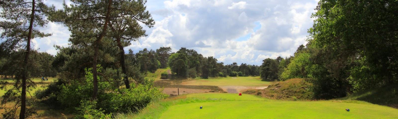 Utrechtse Golf Club De Pan, heathland fairway framed by pine and birch at Bosch en Duin near Utrecht, Netherlands