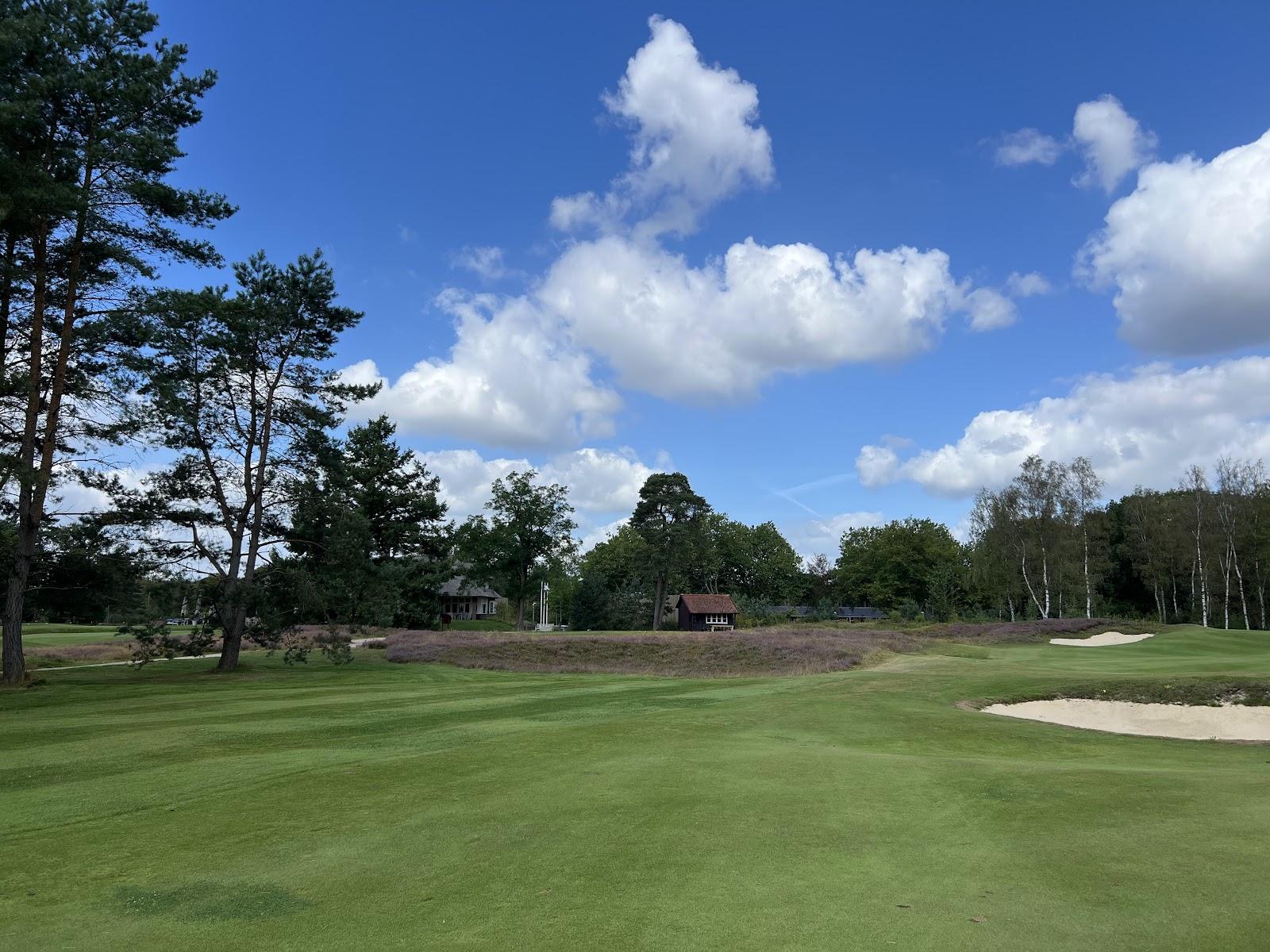 Hilversumsche Golf Club, heathland fairway lined with pines and heather near Hilversum, Netherlands