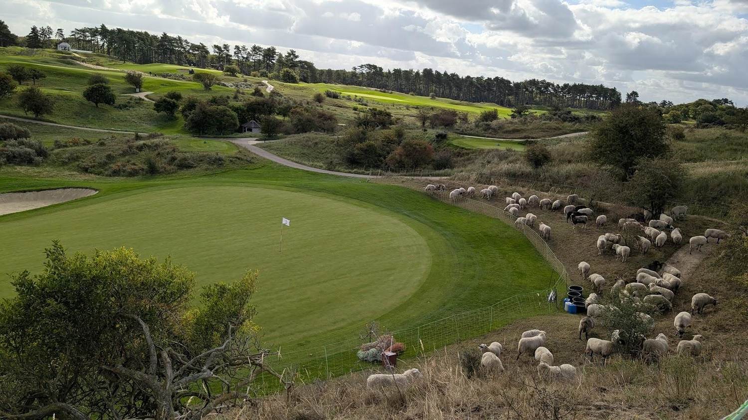 Koninklijke Haagsche, Royal Hague, fairway winding through tall sand dunes near Wassenaar in the Netherlands