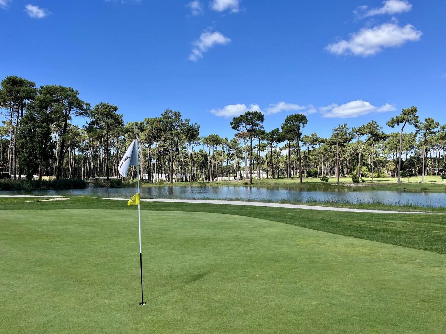 Aroeira Pines, fairway lined by umbrella pines south of Lisbon, Portugal