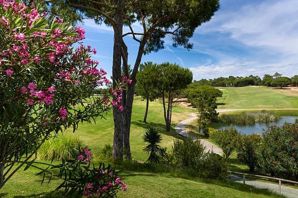 Pine Cliffs Golf, clifftop fairways above the Atlantic near Albufeira on the Algarve, Portugal