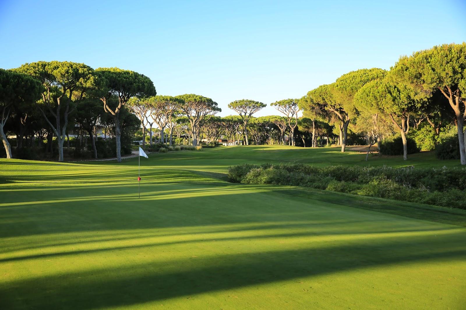 Dom Pedro Millennium golf course, fairway framed by umbrella pines and eucalyptus in Vilamoura, Algarve, Portugal