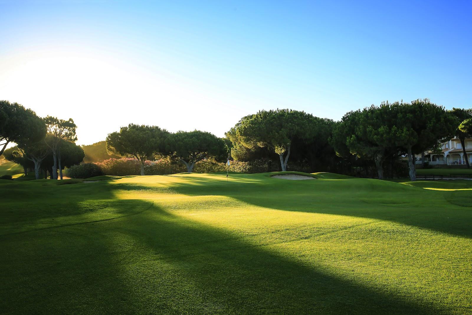 Vilamoura Pinhal Golf, a fairway framed by tall umbrella pines in the Vilamoura resort, Algarve