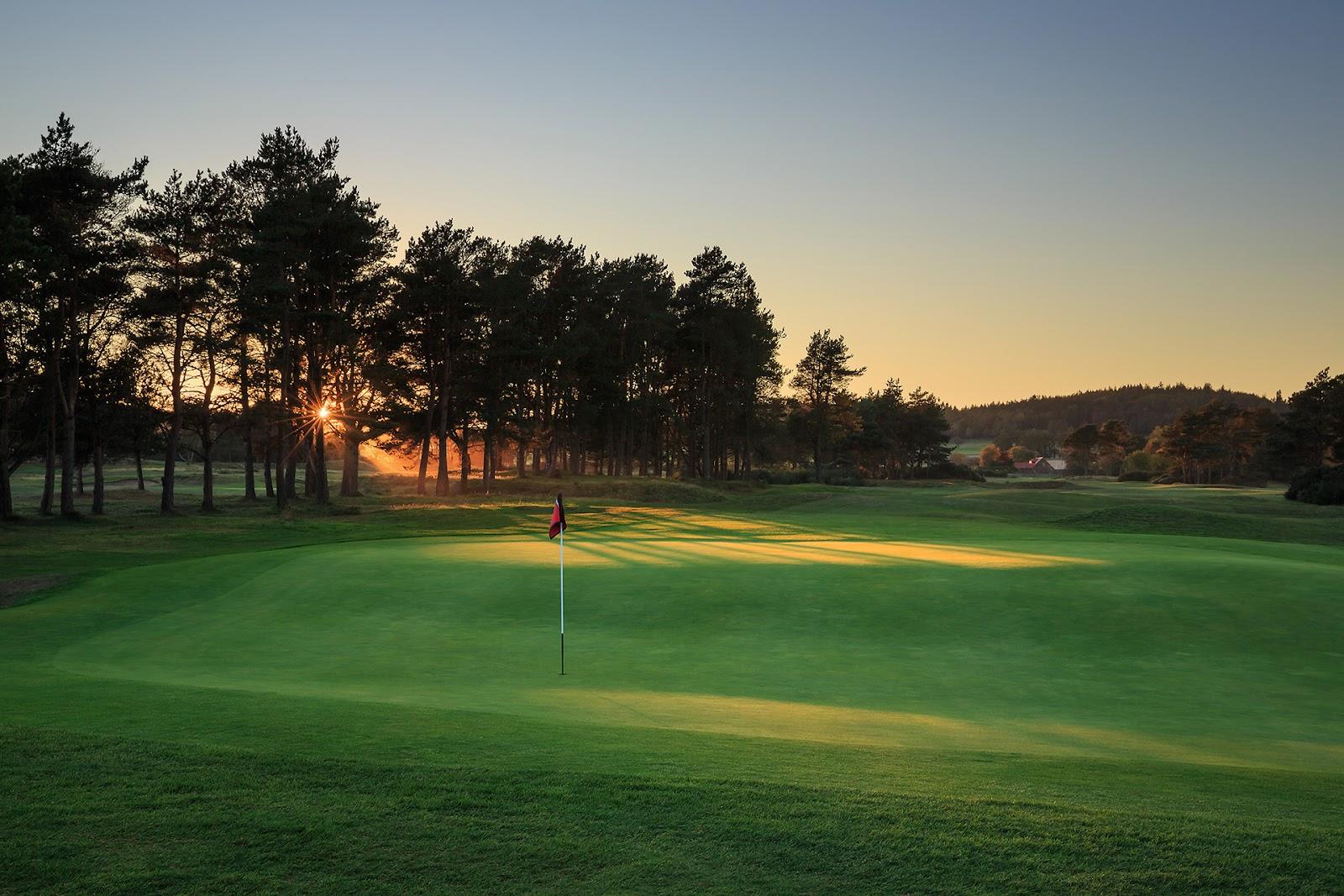 Scotscraig Golf Club, links and heathland fairway framed by gorse near Tayport, Fife, Scotland