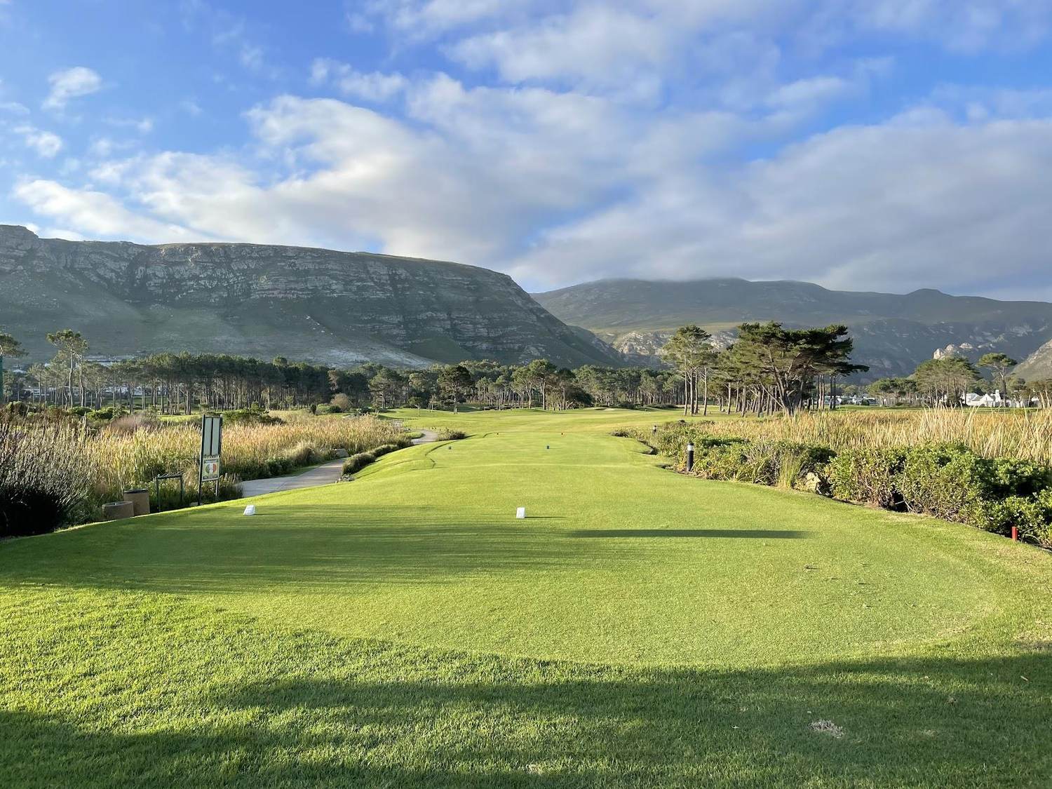 Hermanus Golf Club, fynbos fairway beneath the Kleinrivier mountains above Walker Bay, Western Cape, South Africa