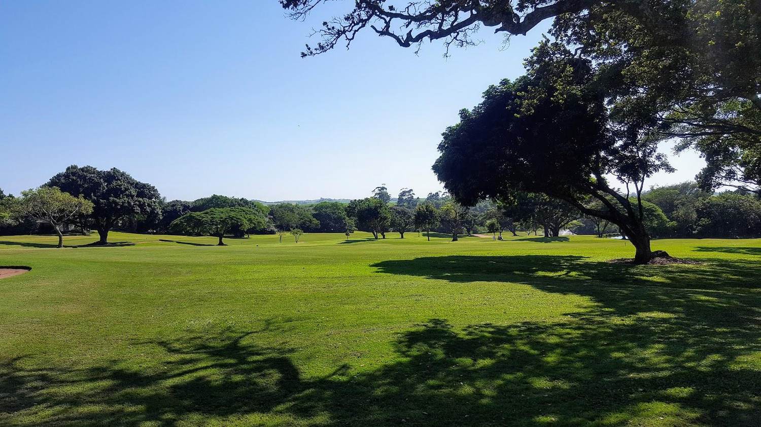 Selborne Golf Estate, subtropical parkland fairway on the KwaZulu-Natal South Coast, South Africa