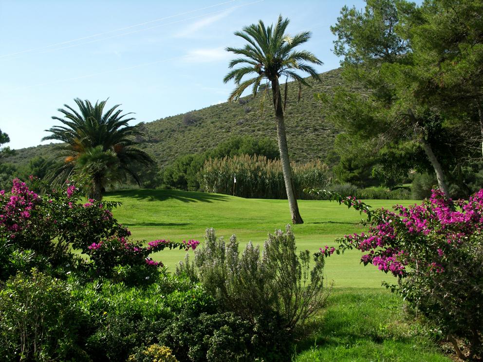 Capdepera Golf, wide parkland fairway lined with pines near Arta, northeast Mallorca, Spain