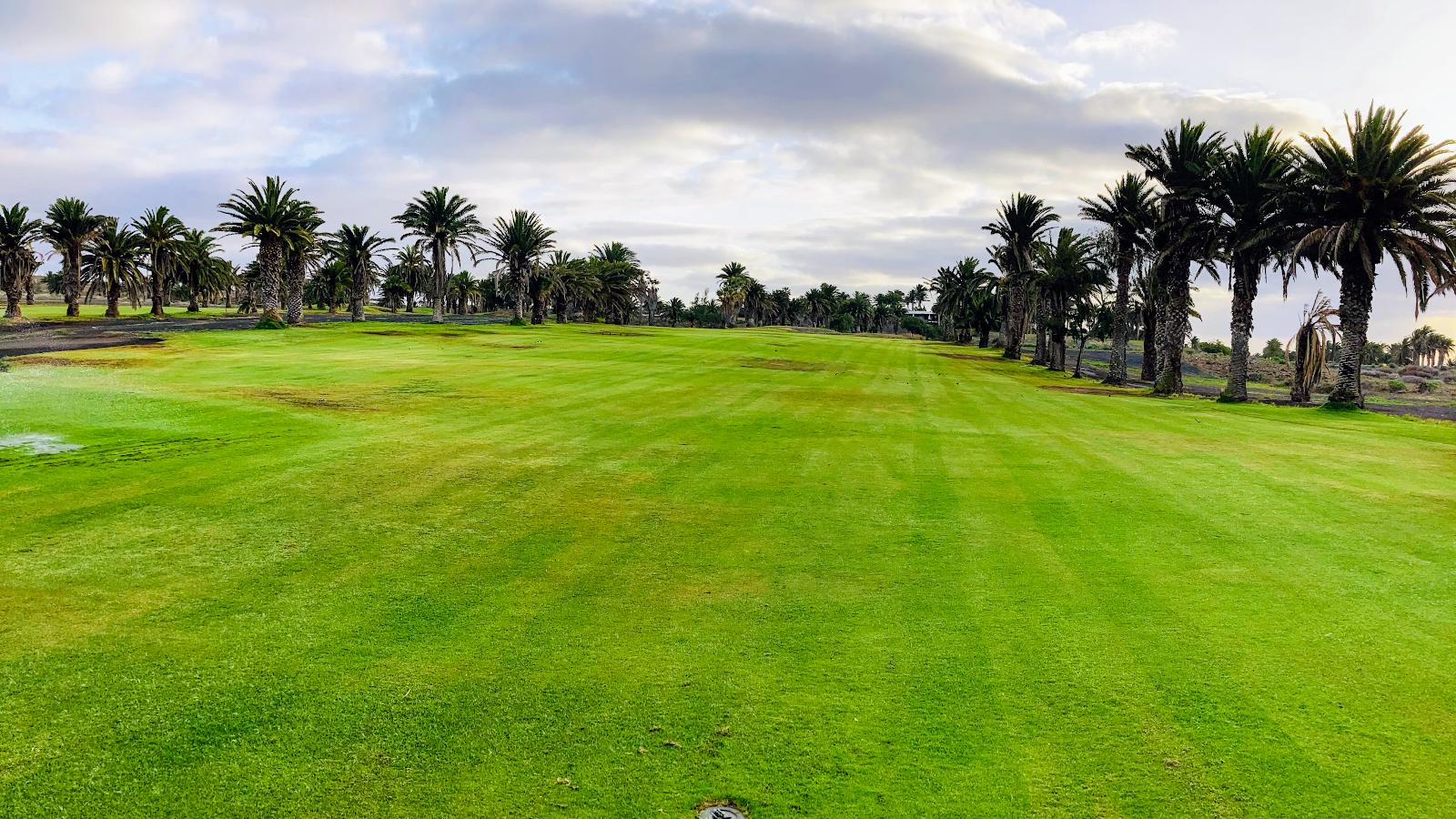 Costa Teguise Golf, palm and cactus lined fairway among lava on Lanzarote, Spain