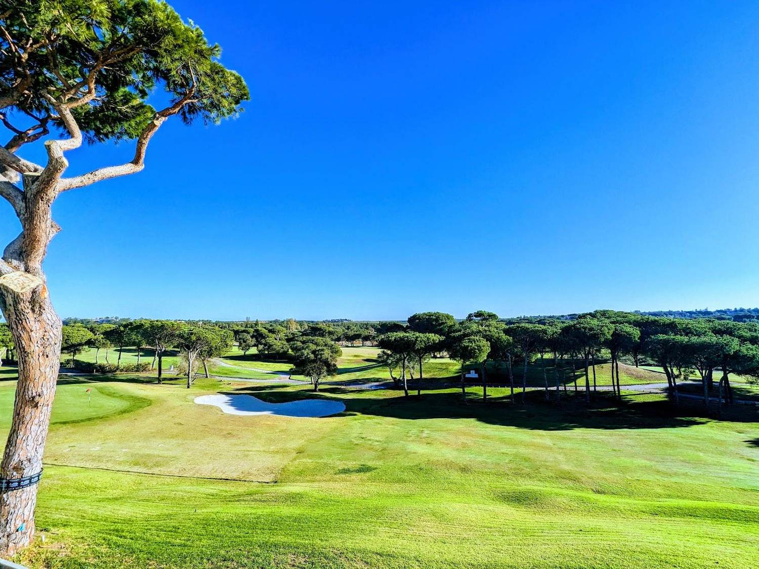 El Rompido North Course, fairway winding through marshland and pine on the Costa de la Luz, Huelva, Spain