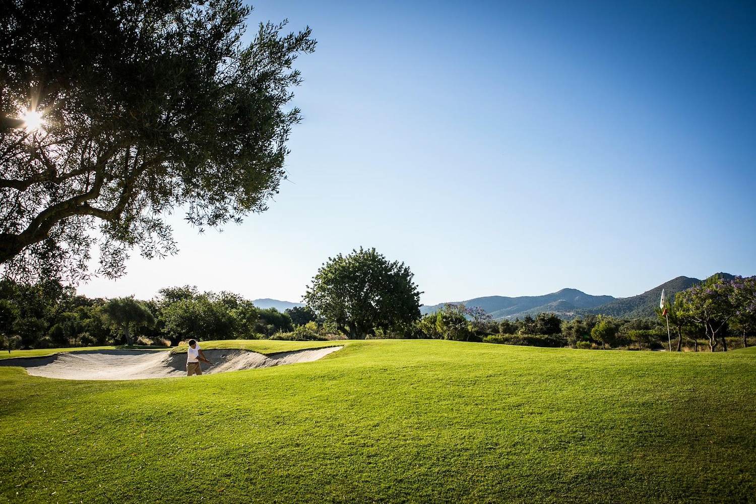 Lauro Golf, rolling fairways through olive and citrus countryside at Alhaurin de la Torre, near Malaga
