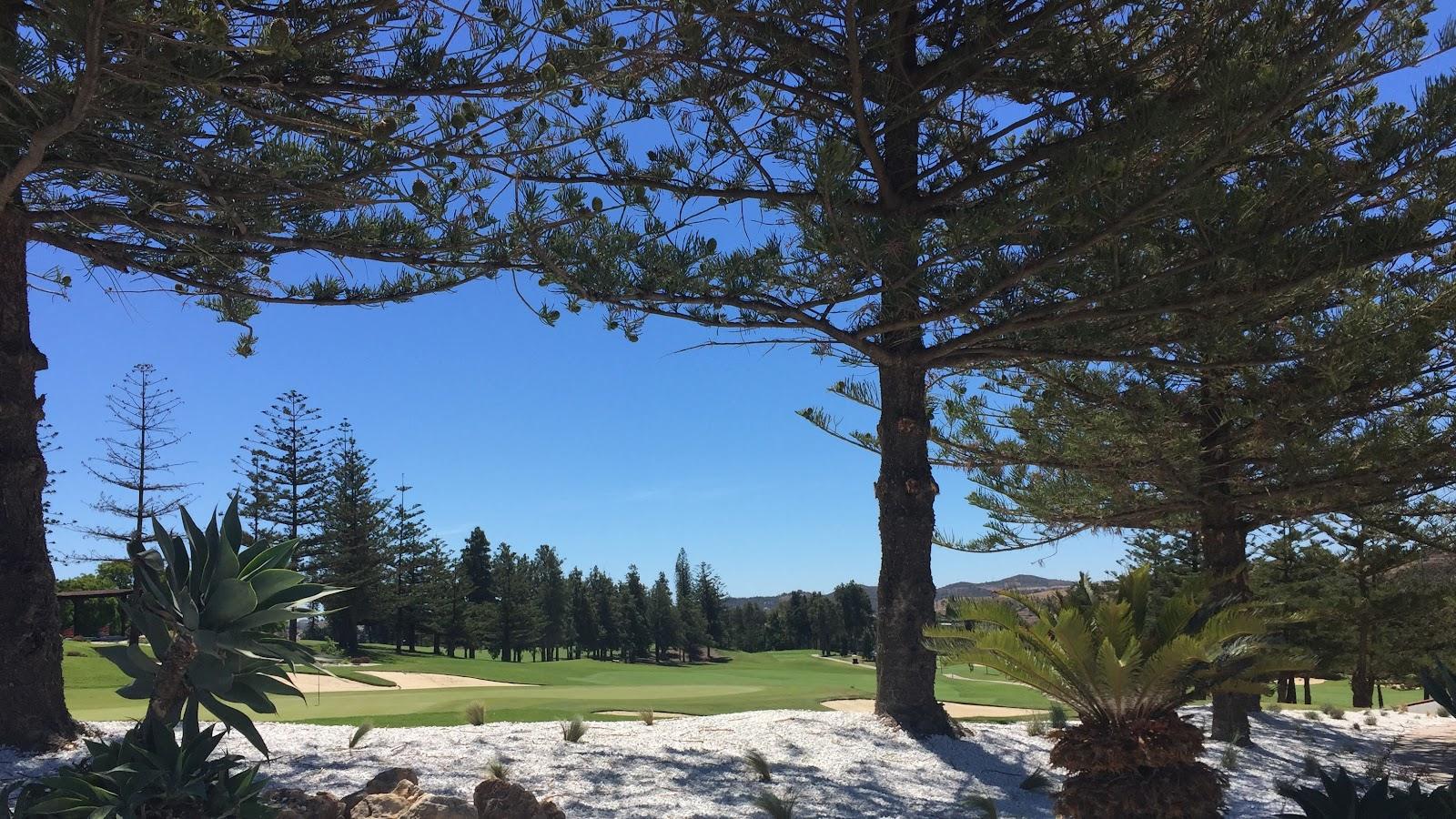 Mijas Golf Los Olivos, undulating fairway among olive trees near Fuengirola on the Costa del Sol, Spain
