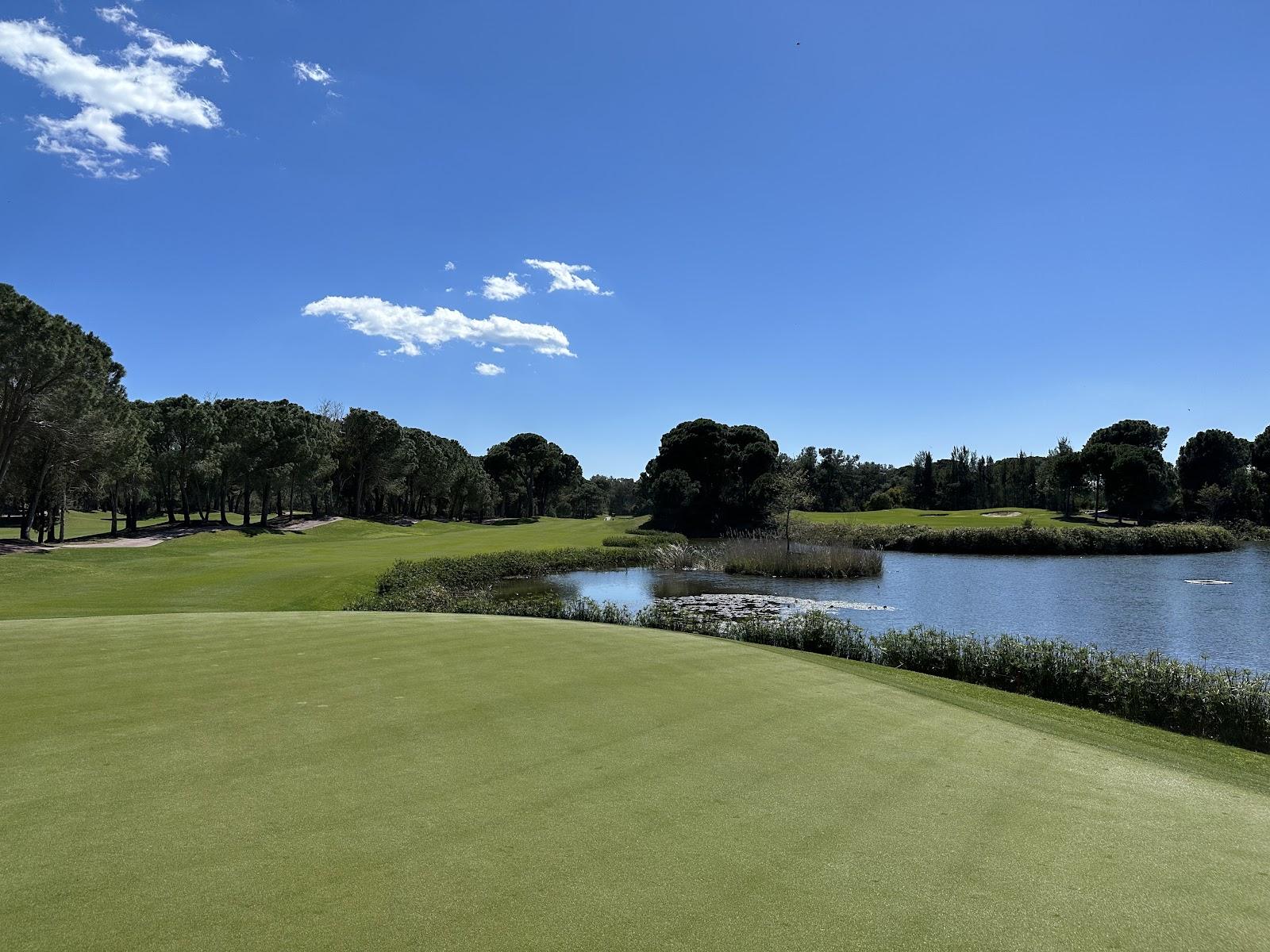 National Golf Club Belek fairways framed by mature pine forest on the Mediterranean coast near Antalya, Turkey