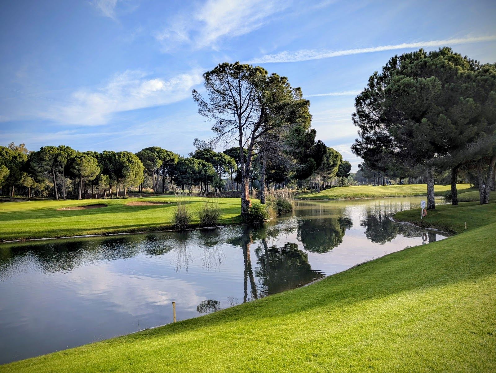 Sueno Golf Club Pines Course, fairway framed by mature pines near the Belek coast in Turkey