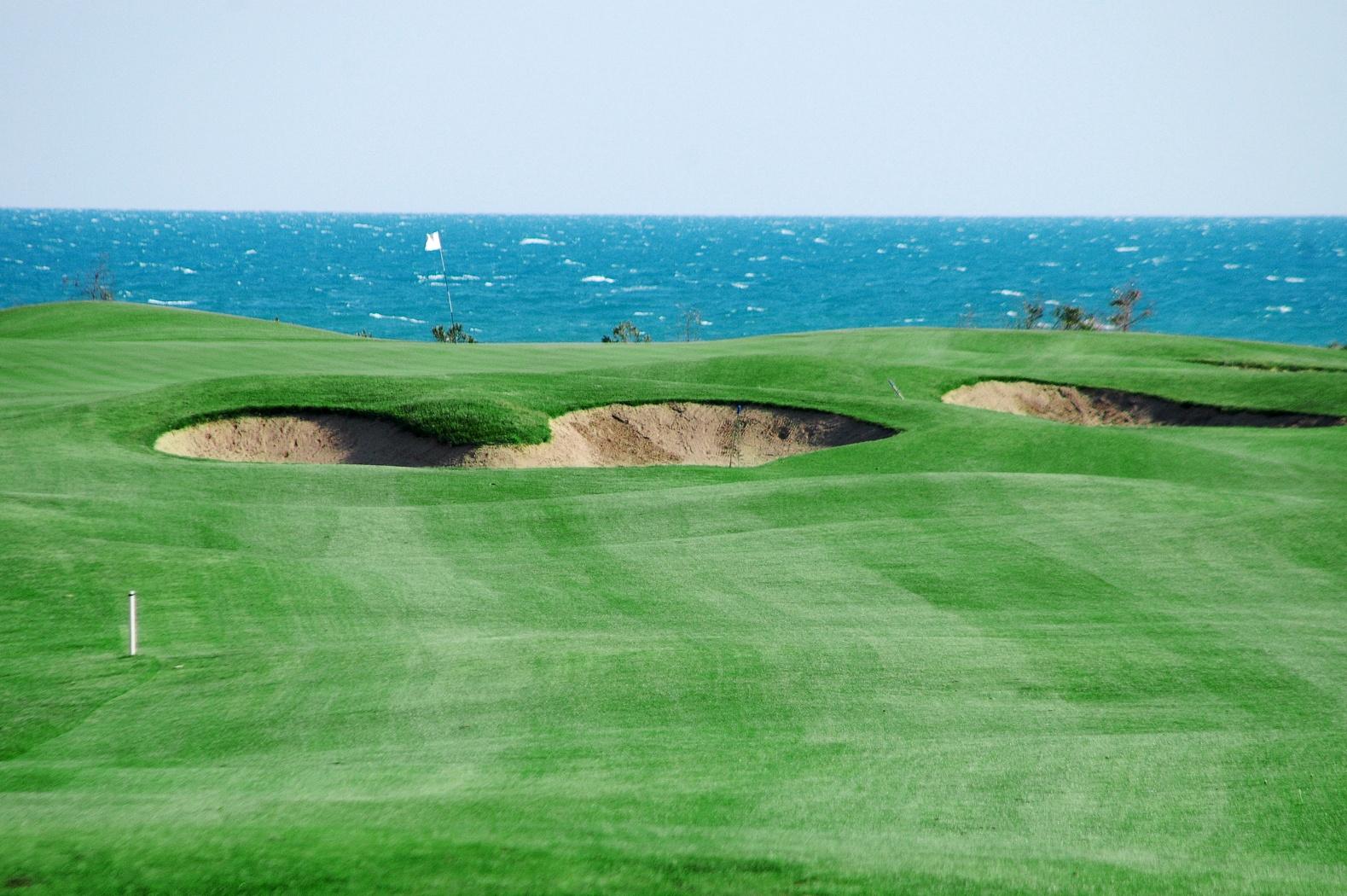TAT International Golf Club, Belek, fairway lined with stone pines near Antalya, Turkey