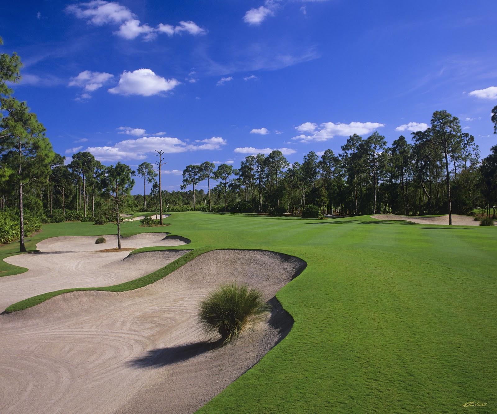 Calusa Pines Golf Club, the rolling pine framed fairways and elevation of the Hurdzan and Fry design near Naples, Florida